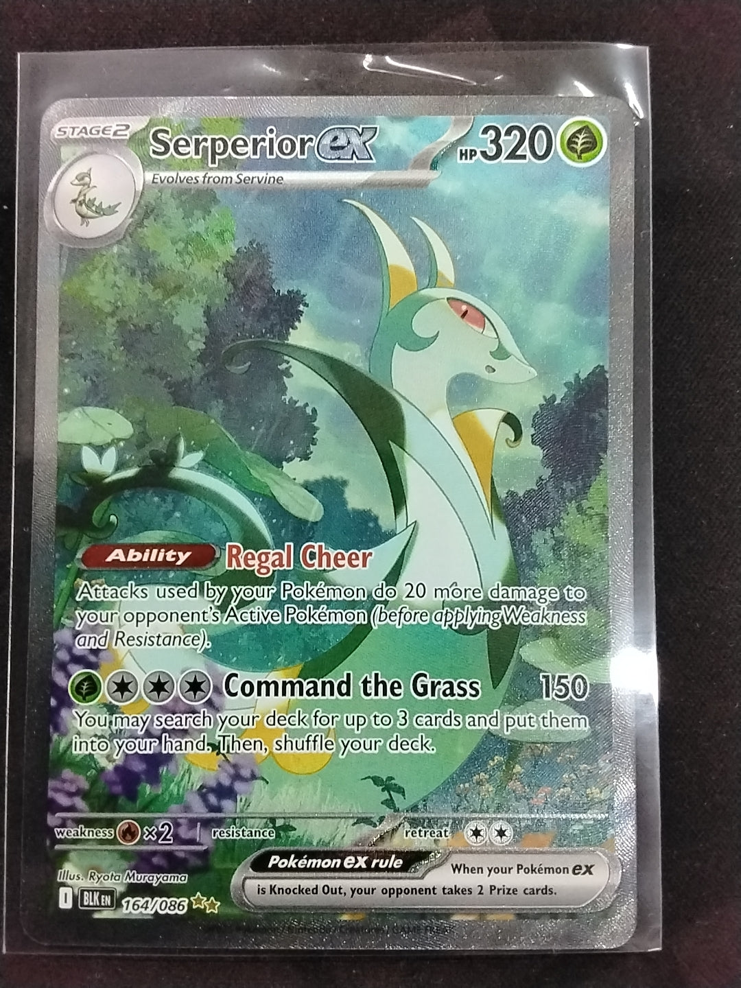 Serperior EX (164/086)