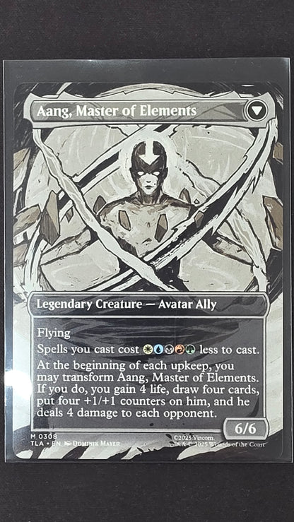 Avatar Aang (TLA, Boarderless)