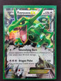 Rayquaza EX (75/108)
