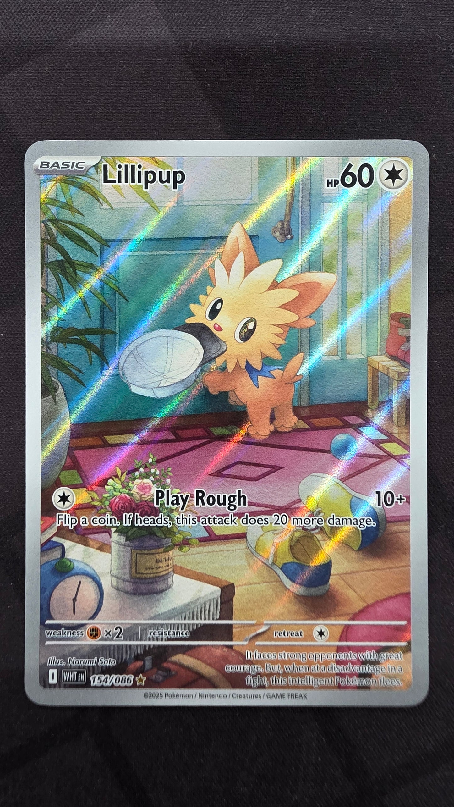 Lillipup (154/086)