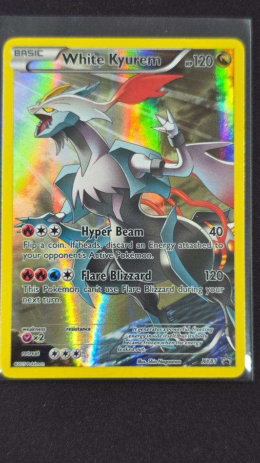 White Kyurem (XY81)