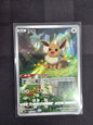 Eevee - 0115/15