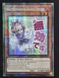 Ash Blossom & Joyous Spring (RAO5-EN091, 1st Edition)
