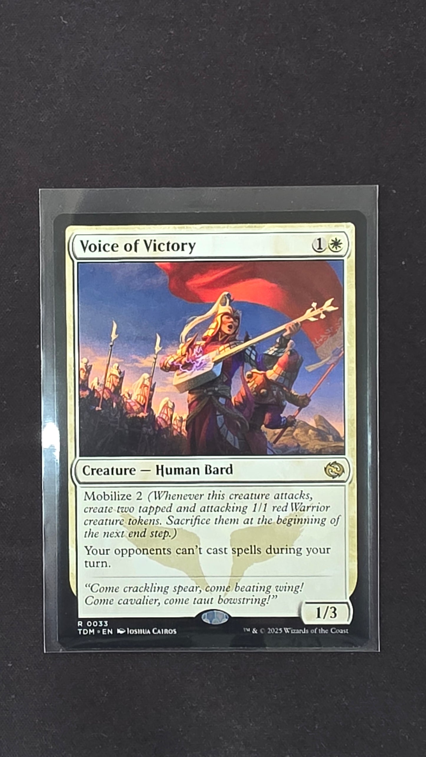 Voice of Victory (TDM)