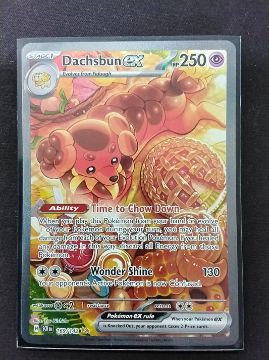 Dachsbun EX (169/142)