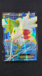 Shaymin EX (106/108)