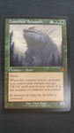 Craterhoof Behemoth (Inr)