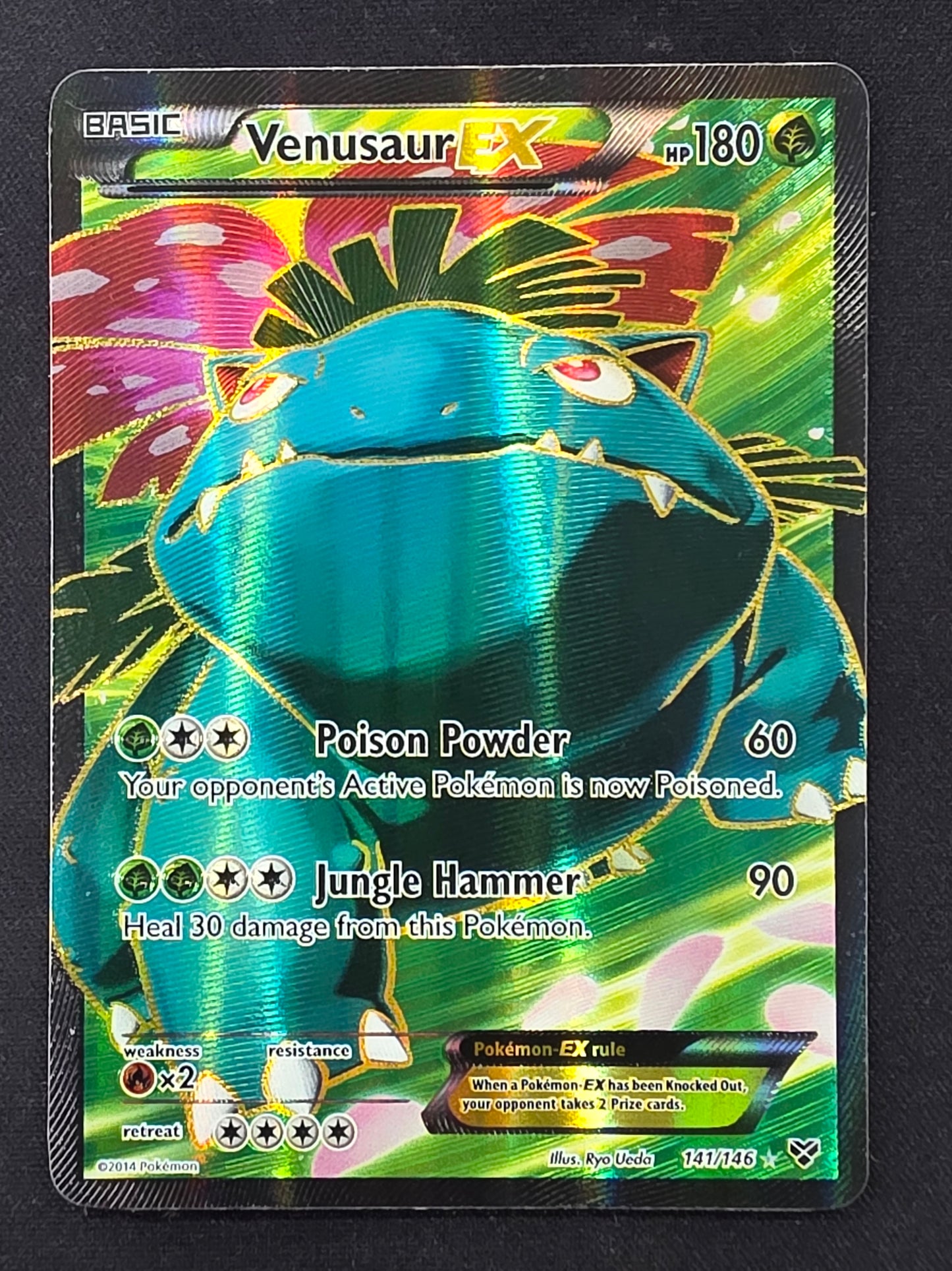 Venusaur EX (141/146)