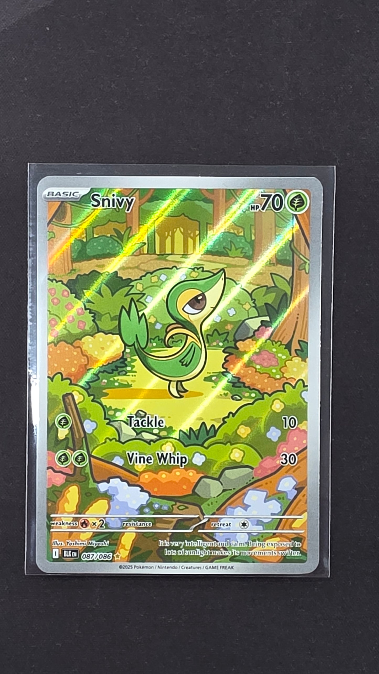 Snivy (087/086)