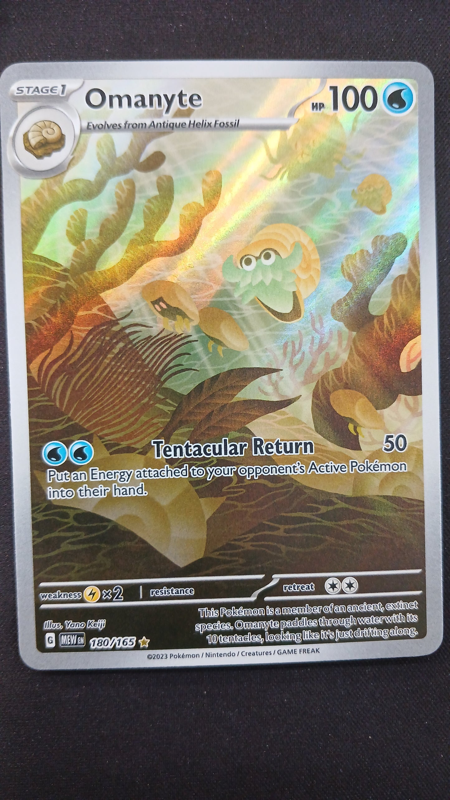 Omanyte 180/165