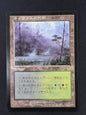 Llanowar Wastes (Apocalypse, JPN)