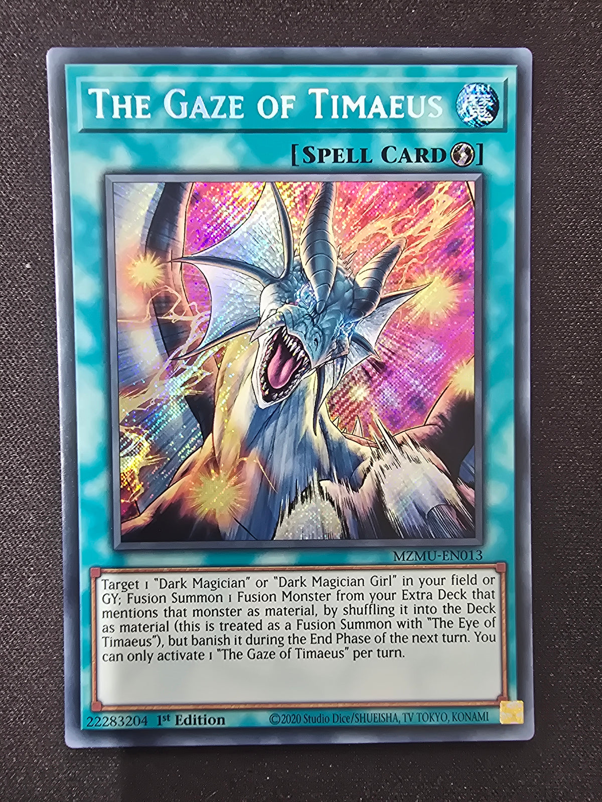 The Gaze of Timaeus (MZMU-EN013)