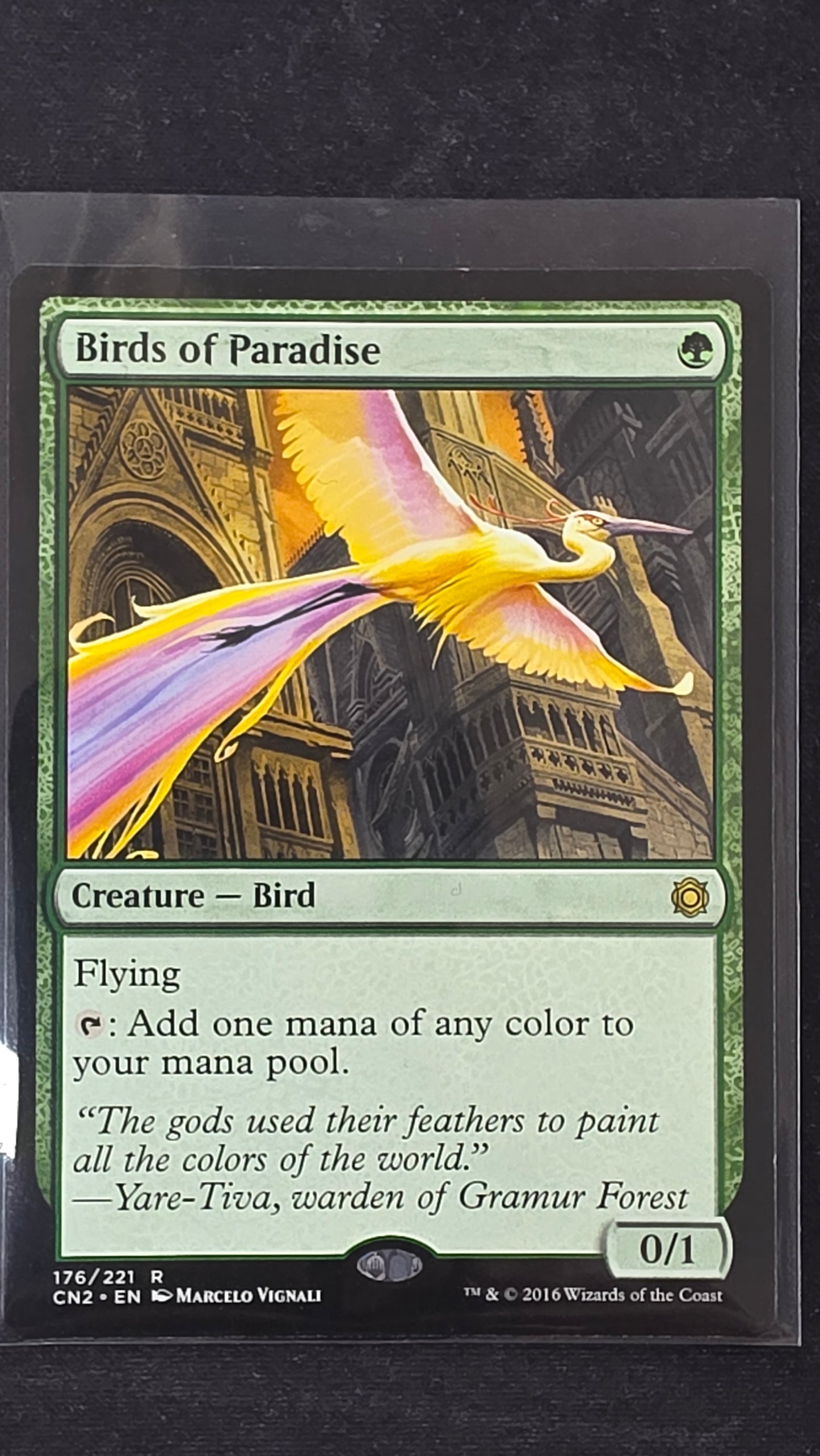 Birds of Paradise (CN2)