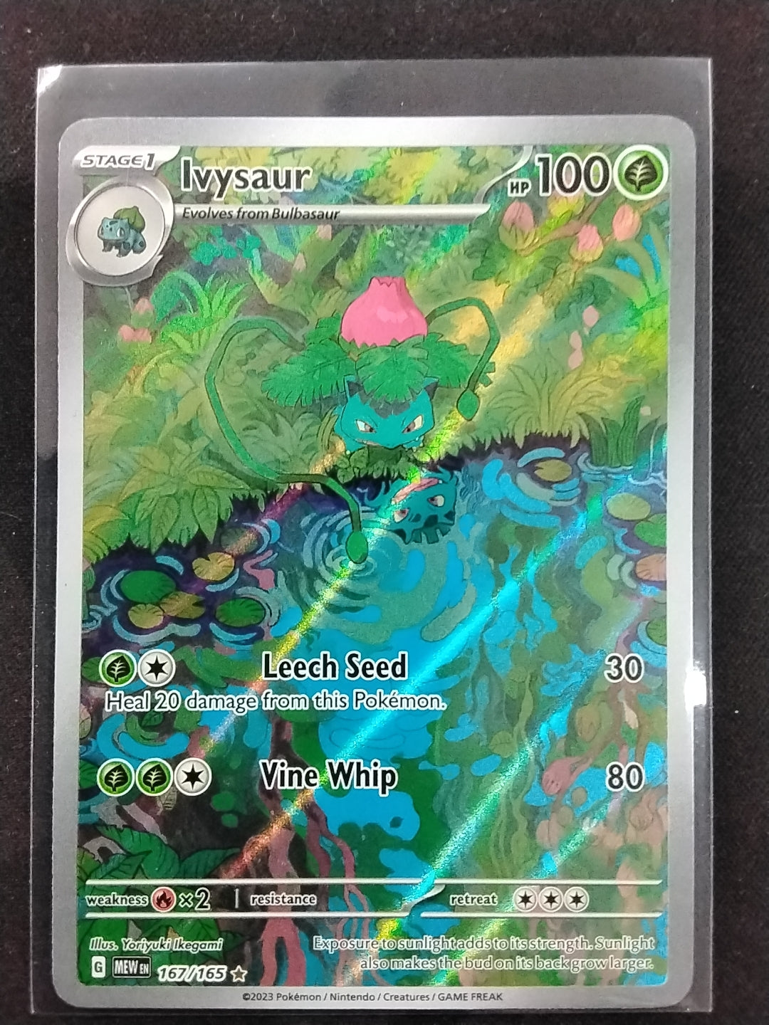 Ivysaur (167/165)