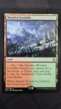 Wooded Foothills (KTK)
