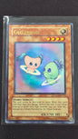Gellenduo (DLG1-EN112, UR)