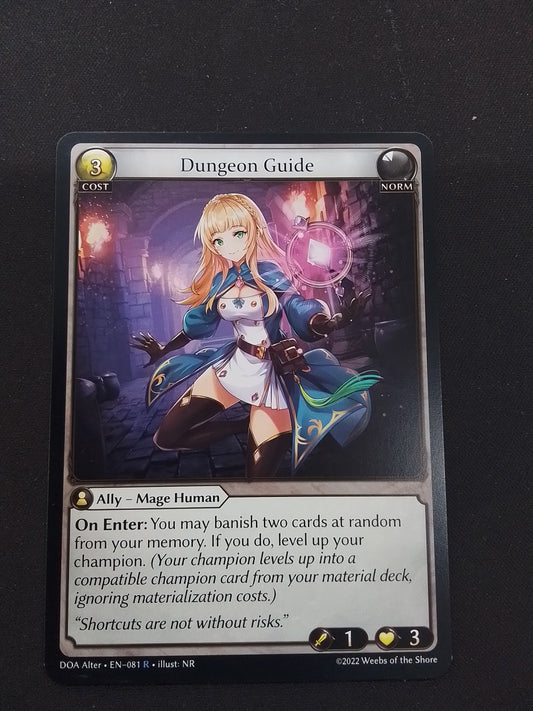 Dungeon Guide (DOA ALTER R)