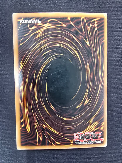 Dark Magician (SDY-006, DMG)