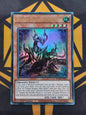 Primite Dragon Ether Beryl - SUDA
