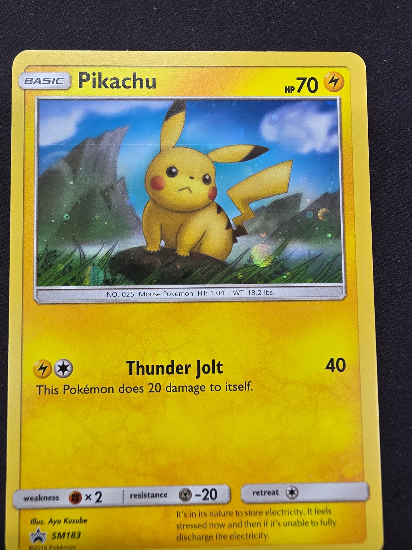 Pikachu sm183