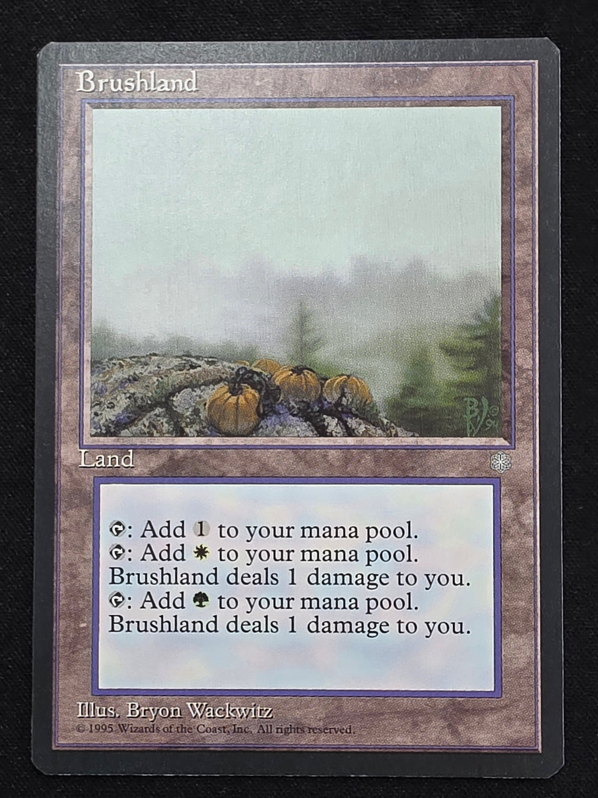 Brushland (Ice Age)