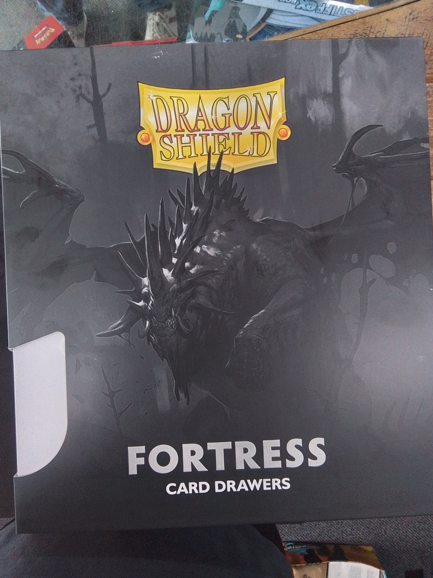 Dragon Shield Fortress