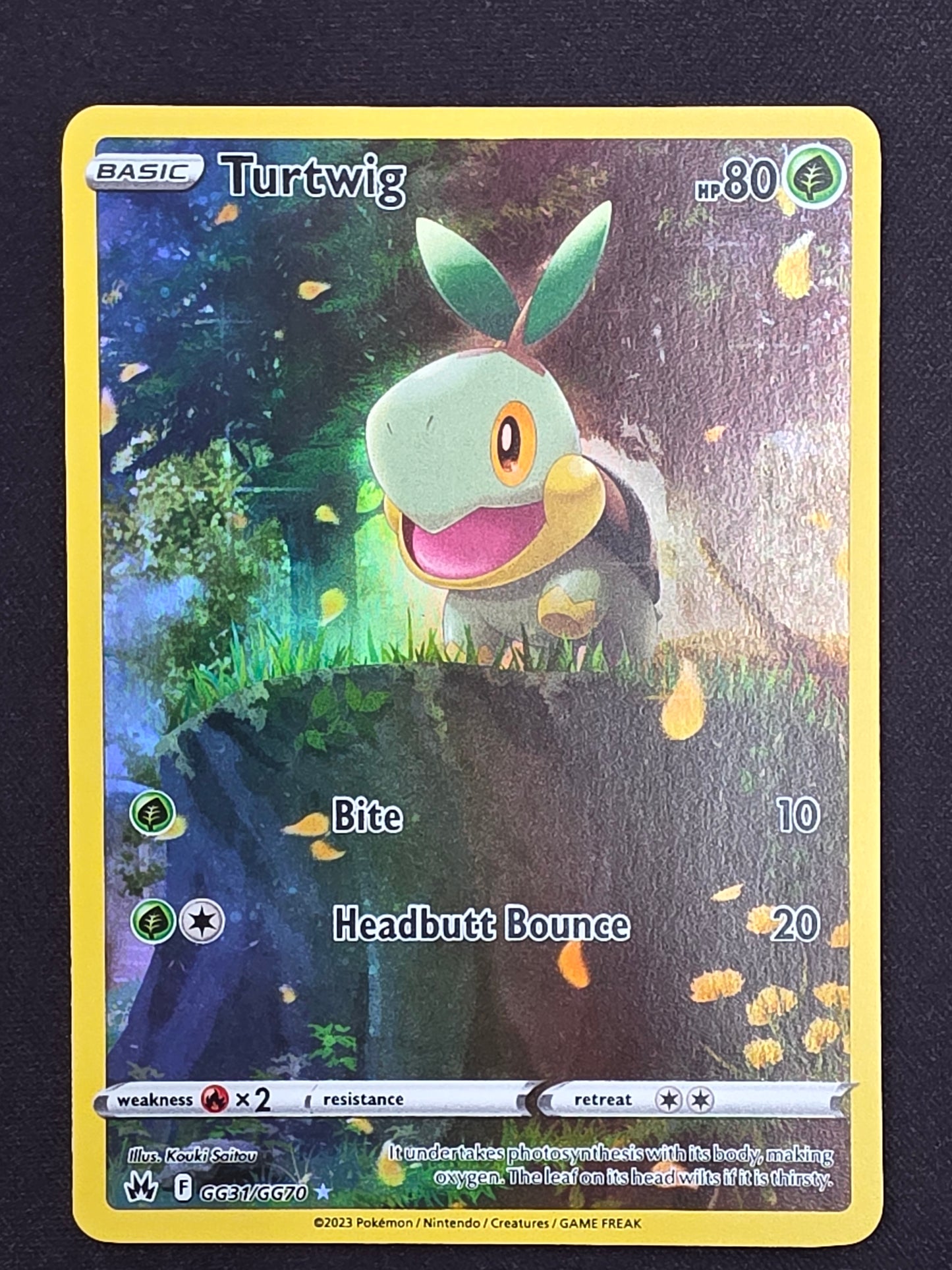 Turtwig (GG31/GG70)