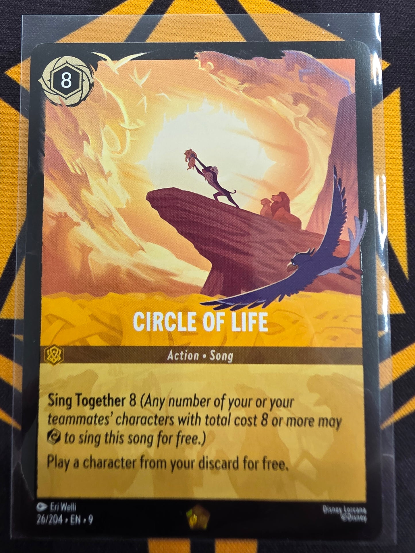 Circle of life (26/204)