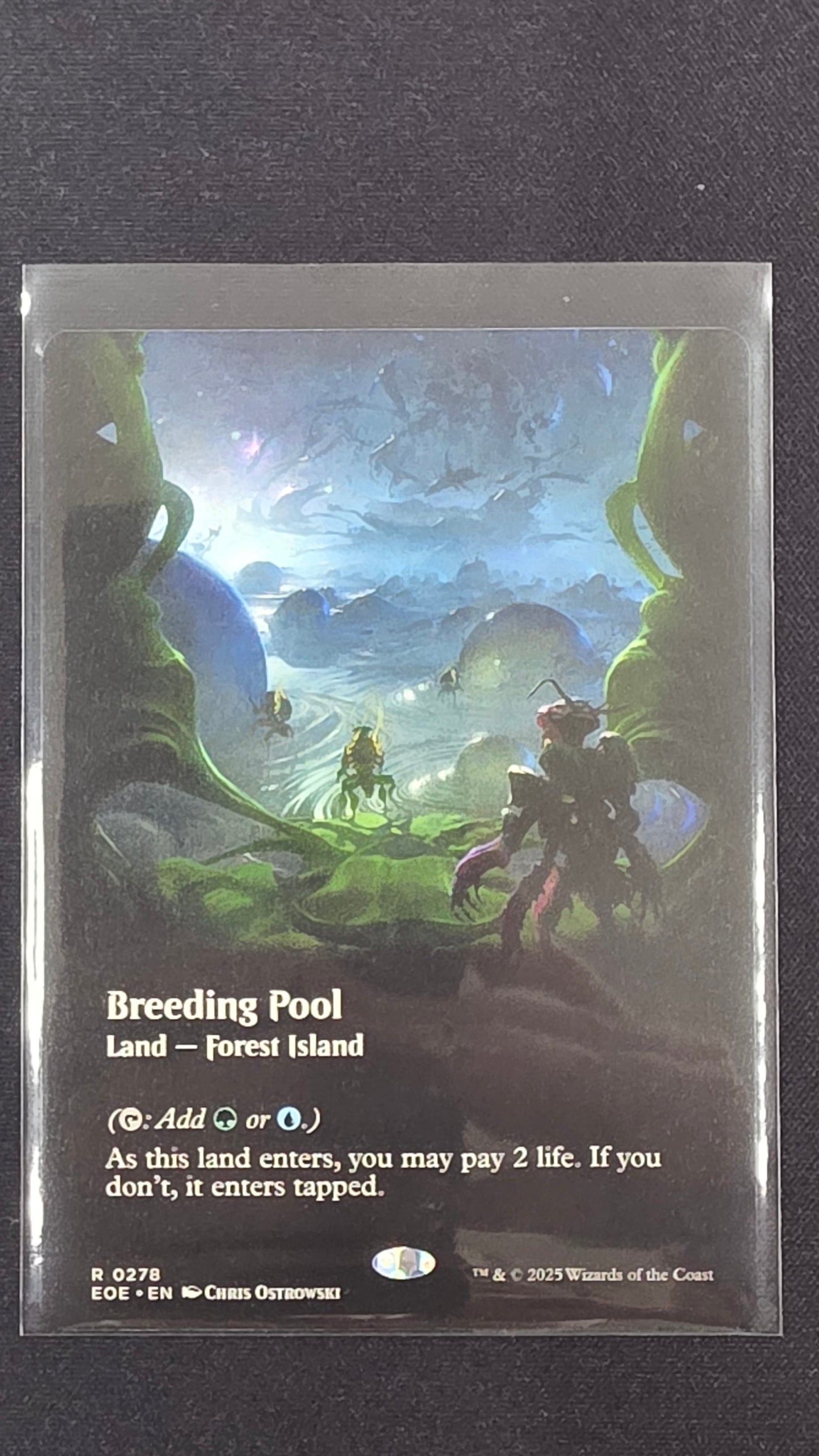 Breeding Pool (EOE, Borderless)