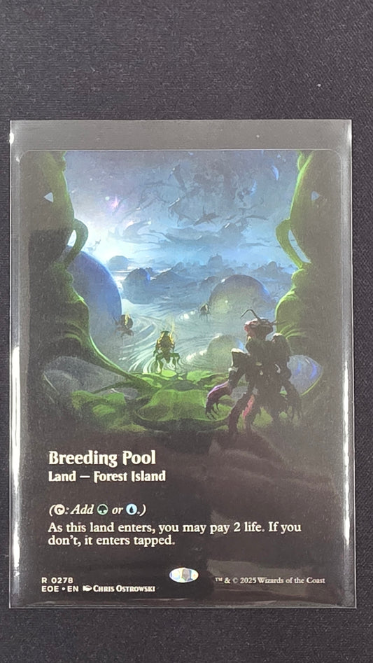 Breeding Pool (EOE, Borderless)