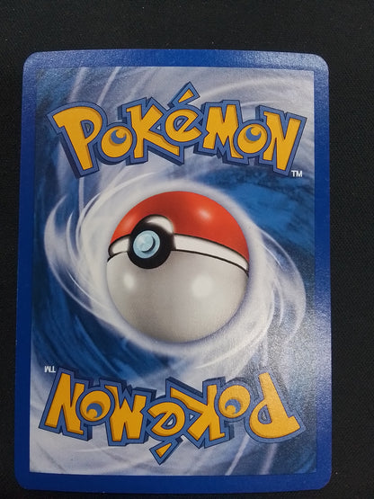 Team Magma's Groudon (played)