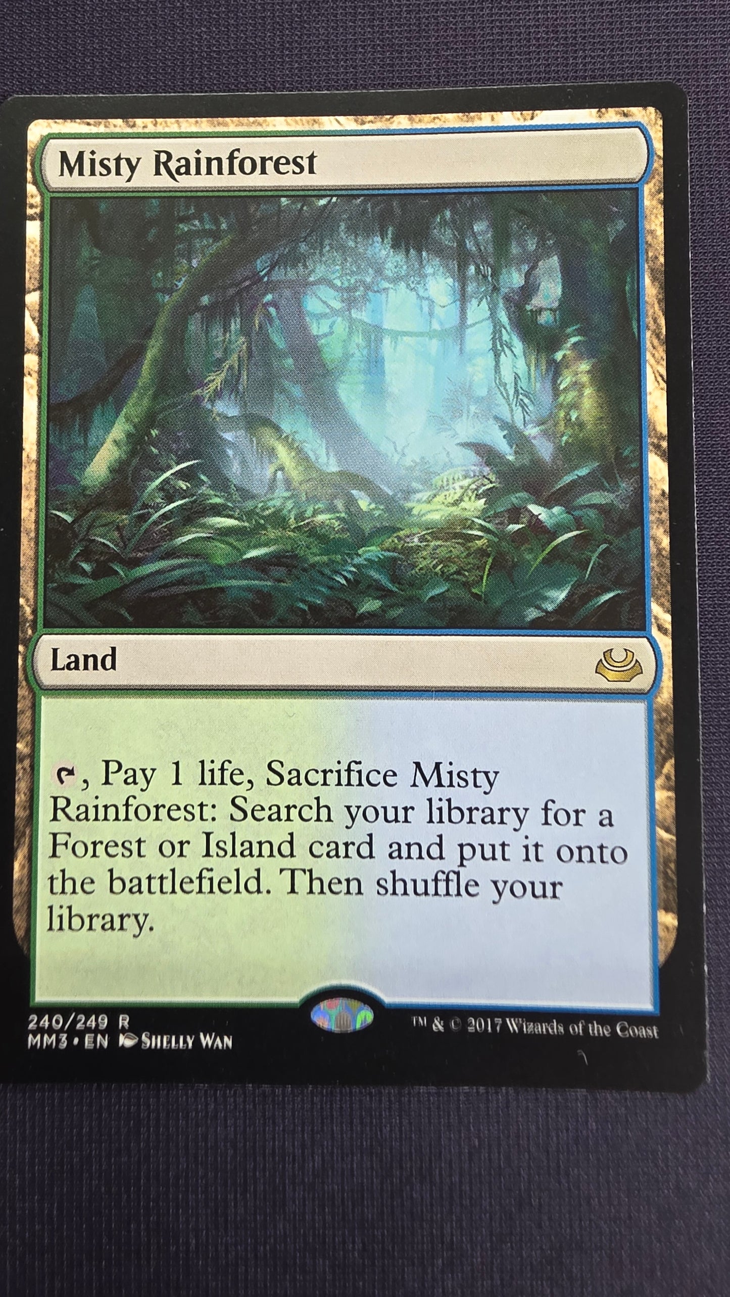 Misty Rainforest (MM3)