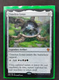 Timeless Lotus (DMU)