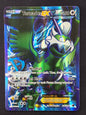 Tornadus EX (114/116)