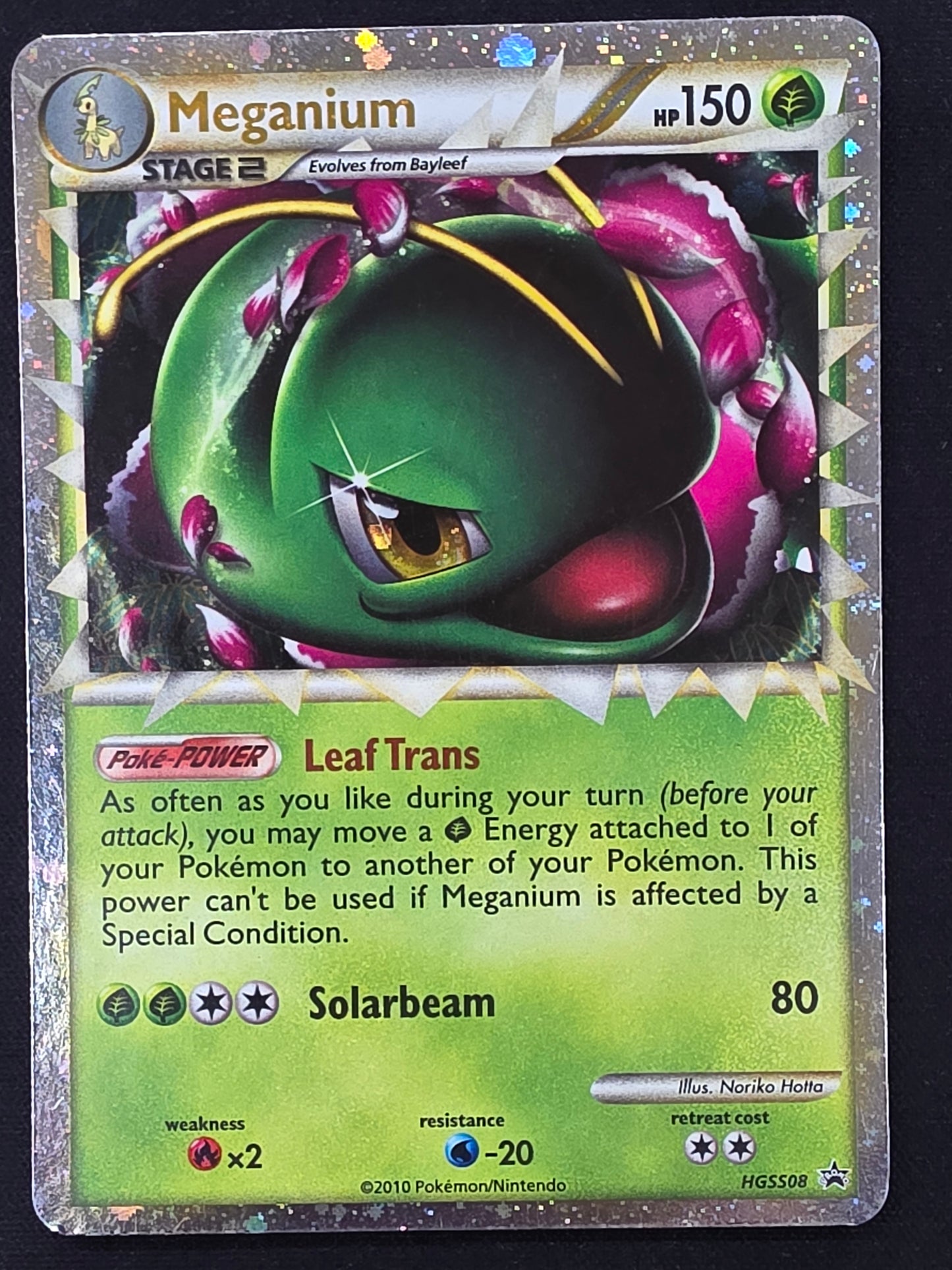 Mganium (HGSS08)