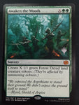 Awaken the Woods (BRO stamped)