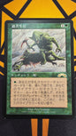 Survival of the Fittest (Japanese)