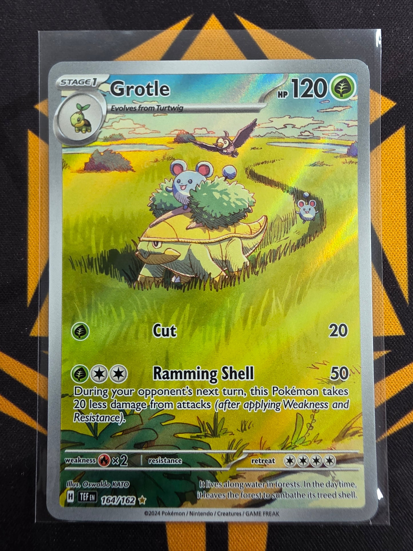 Grotle (164/162)