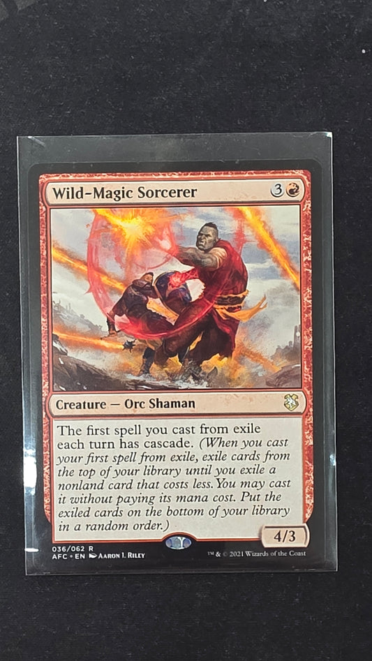 Wild-Magic Sorcerer (AFC)