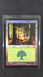 Forest 349 (Onslaught, Foil)