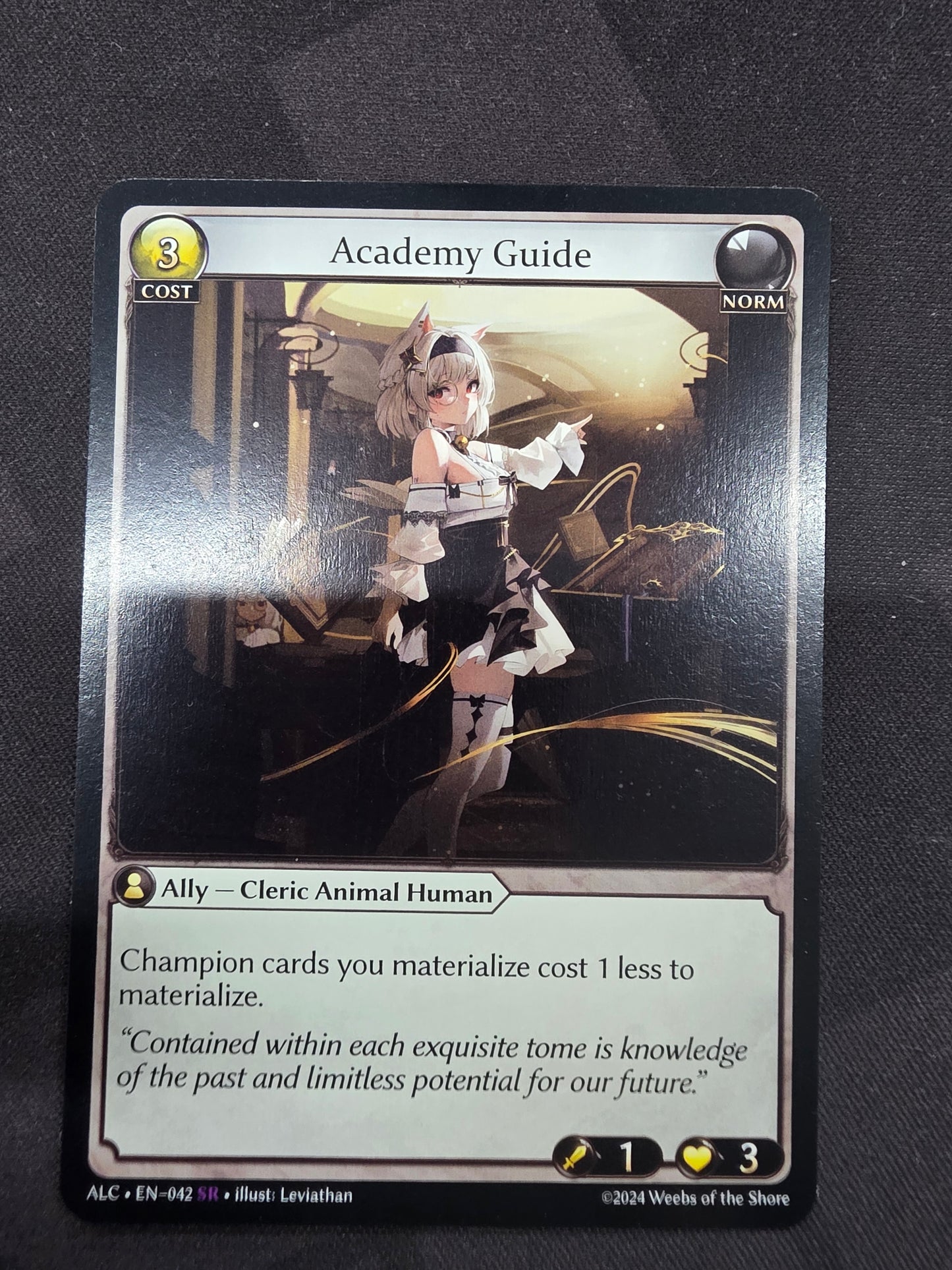 Academy Guide