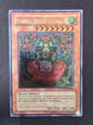 Tytannial, Princess of Camellias (CSOC-EN029)