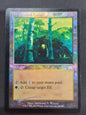 Wirewood Lodge (Ons foil)