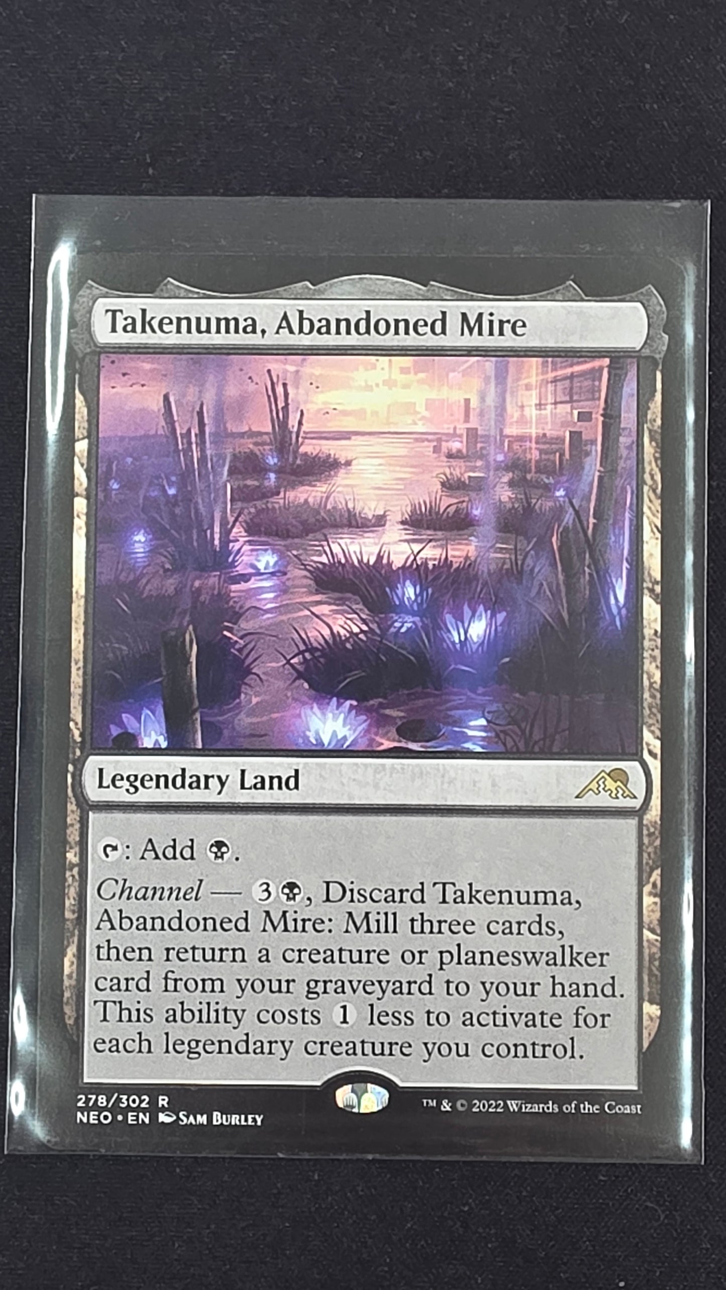 Takenuma, Abandoned Mire (NEO)