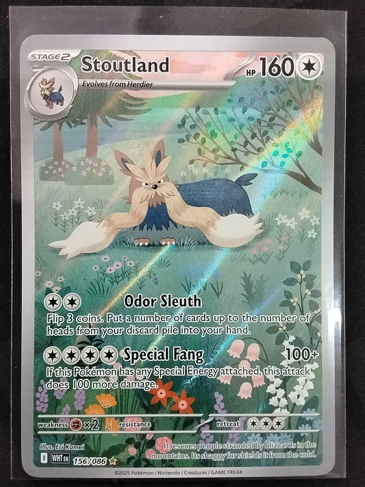 Stoutland (156/086)