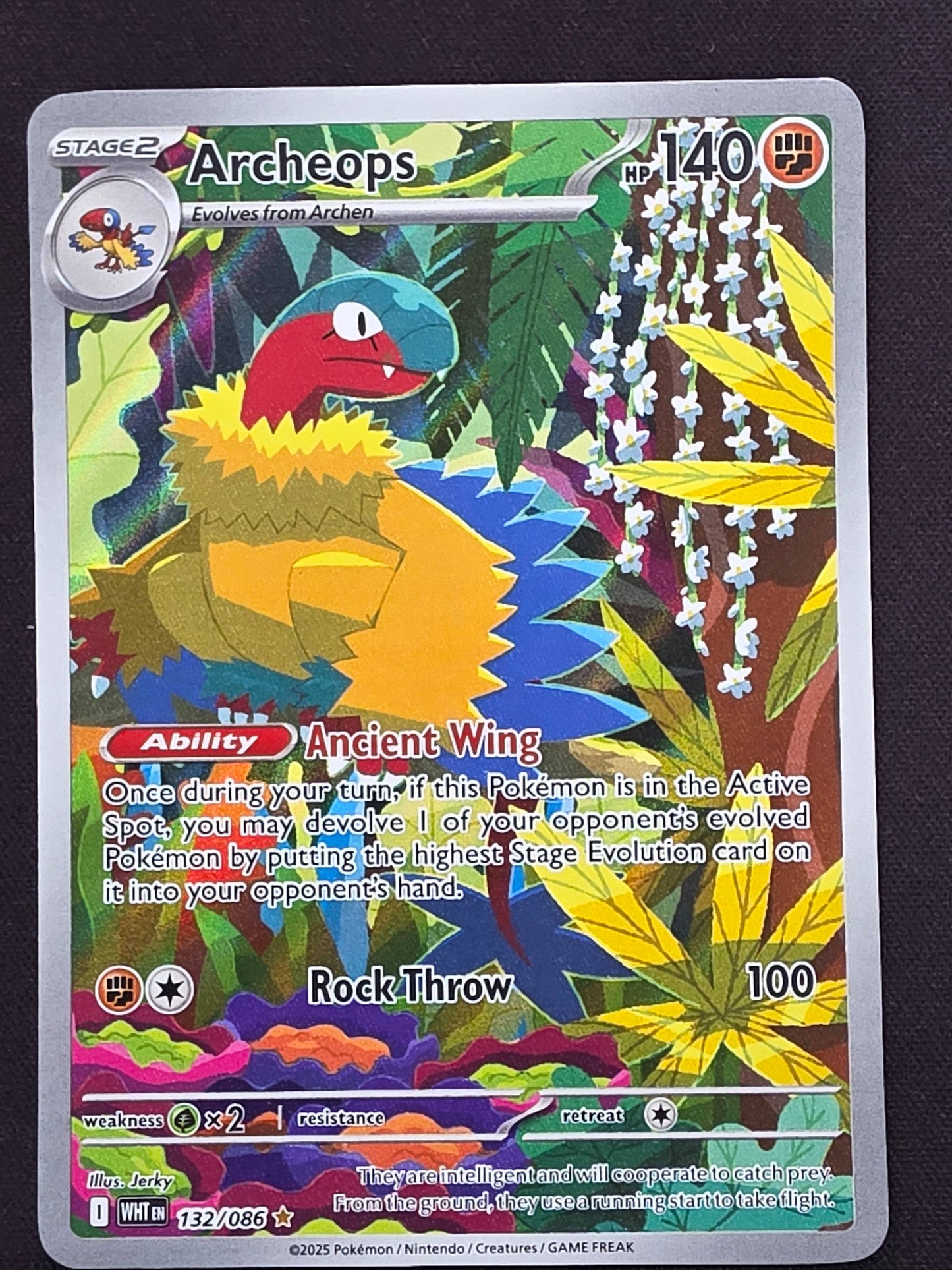 Archeops (132/086)