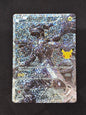 Zekrom (114/114)