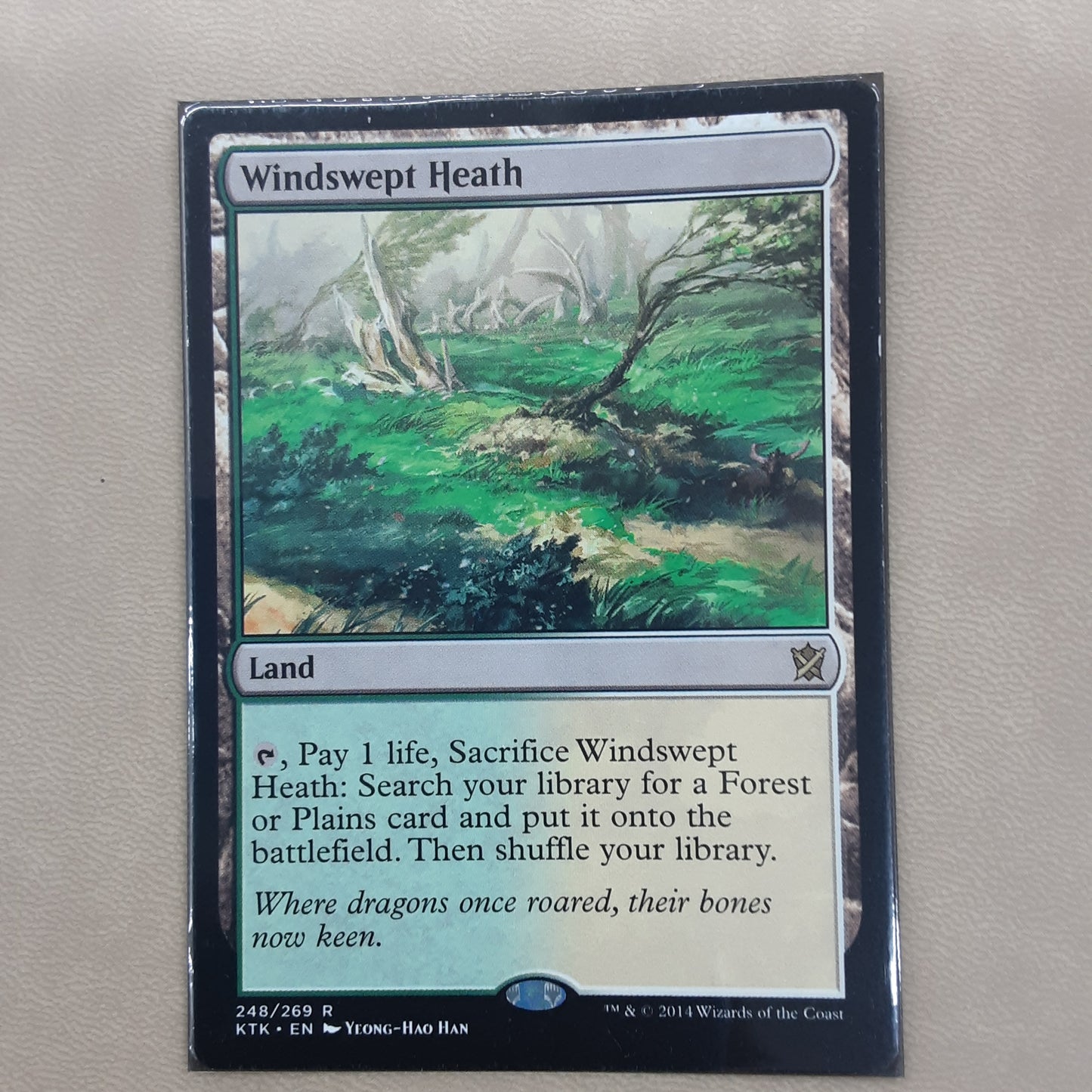 Windswept Heath
