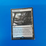 Polluted Delta