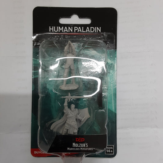 Human Paladin Male (UNPAINTED)